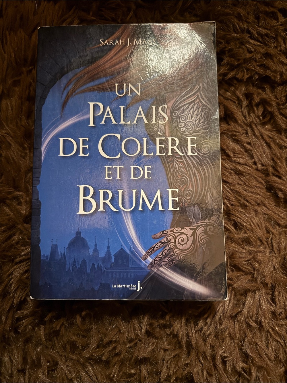 Un Palais de Colère et de Brume - Tome 2